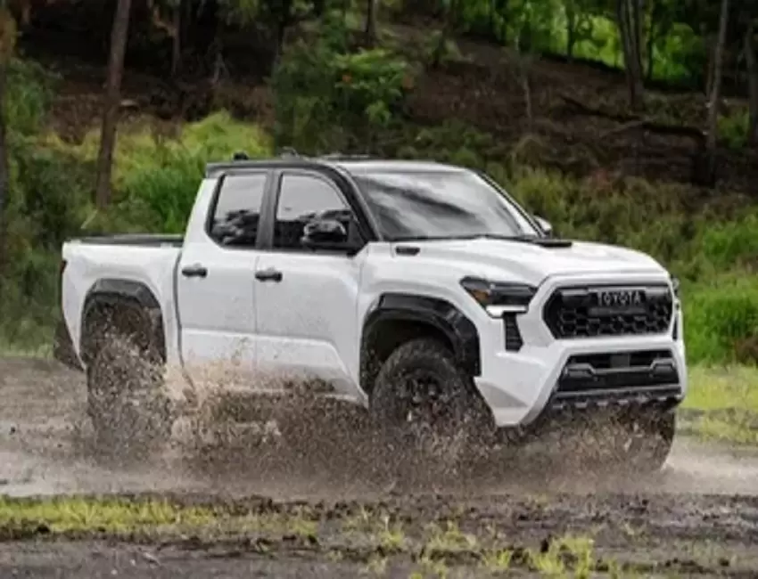 Popular Toyota Tacoma Wrap Styles