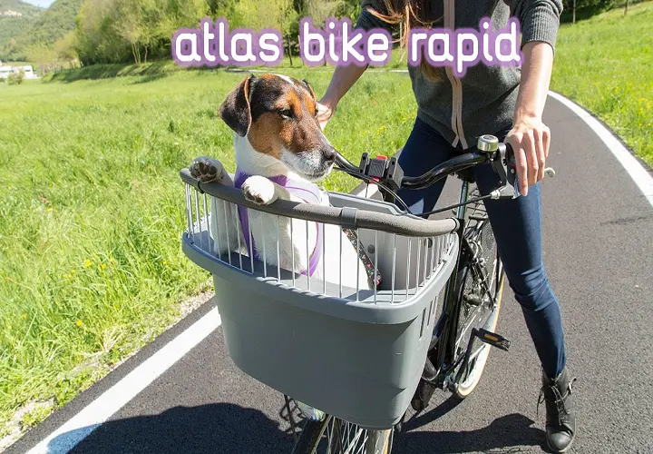 Dog Carrier For Bike