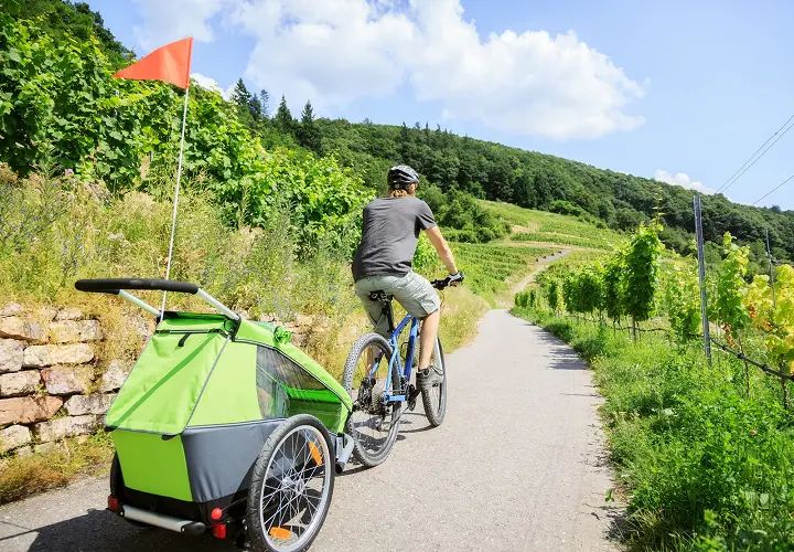 Practical Usage Tips for Your Bike Trailer