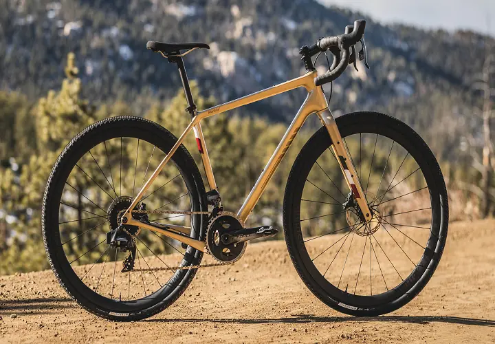 The Future of Salsa Bikes